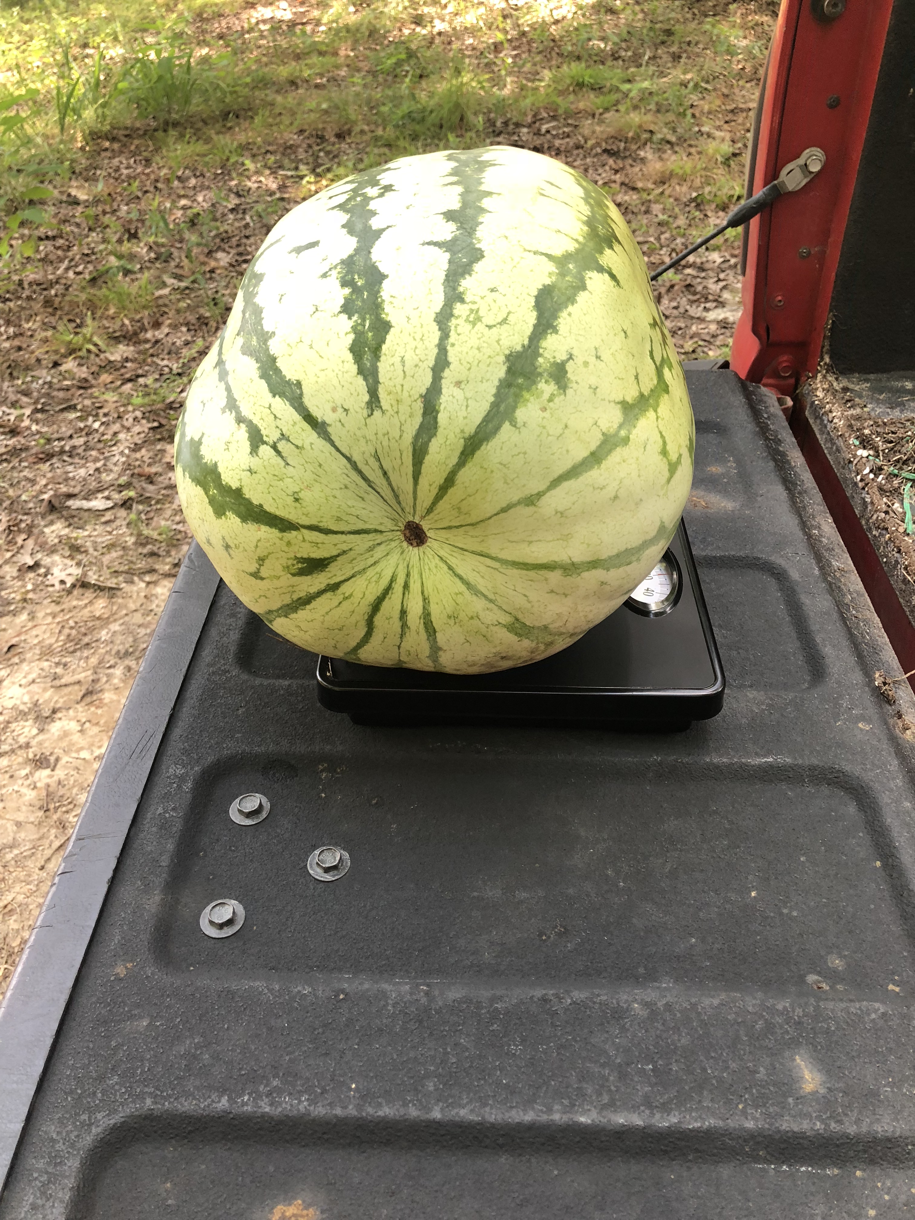 Watermelon field day to be held July 2 in St. Gabriel 